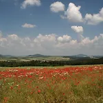 Sonnenschein In 公寓