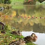 公寓 Sonnenschein In 富尔达