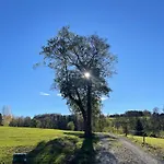 Sonnenschein In
