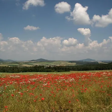 Sonnenschein In Lejlighed