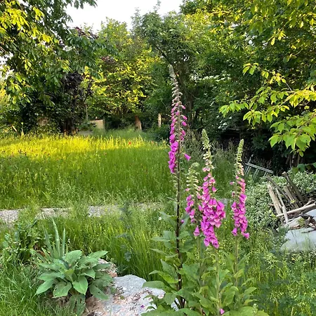 Sonnenschein In Lejlighed