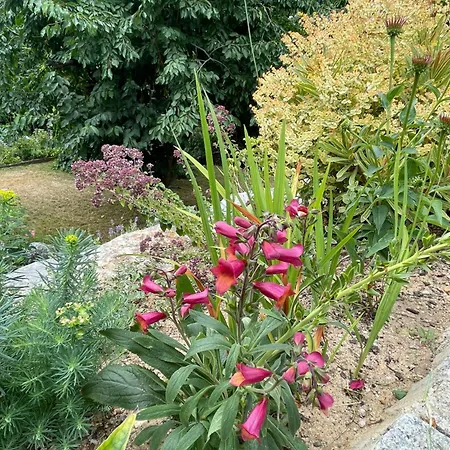 Sonnenschein In Lejlighed Fulda