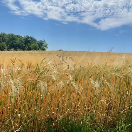 Sonnenschein In Fulda