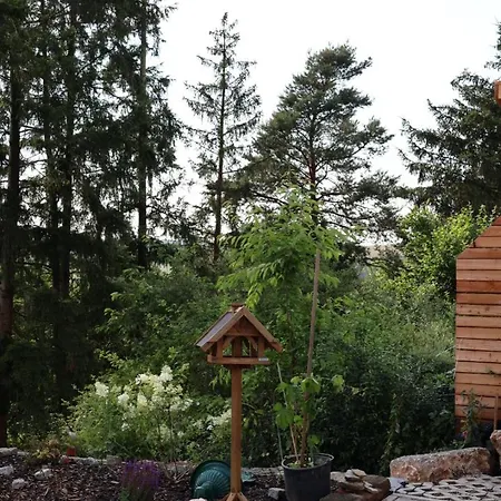 Sonnenschein In * Fulda