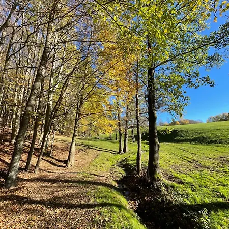 Lejlighed Sonnenschein In