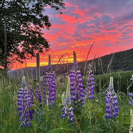 Sonnenschein In Lejlighed