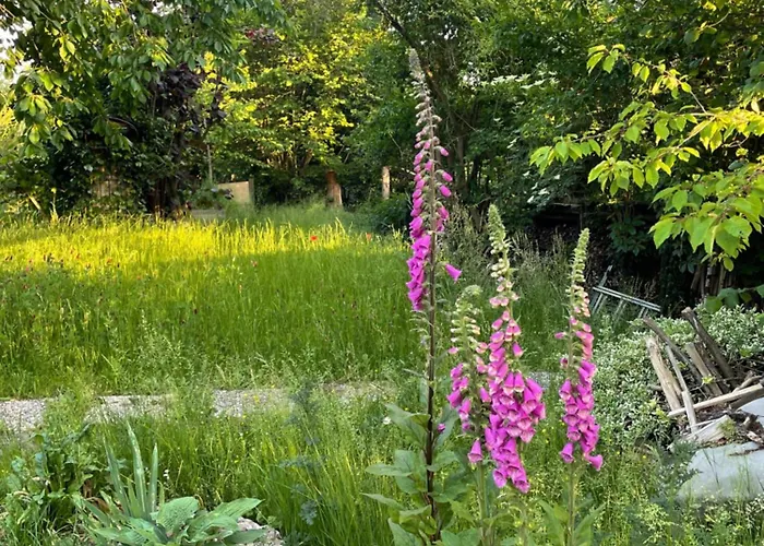 Sonnenschein In Διαμέρισμα