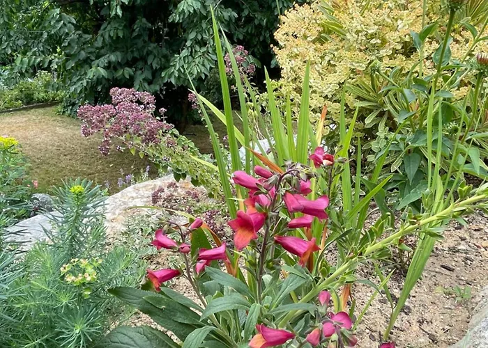 Sonnenschein In Διαμέρισμα Φούλντα