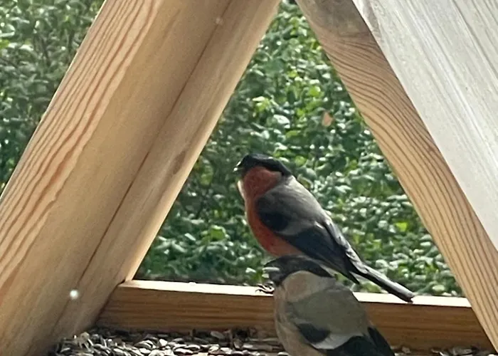 Διαμέρισμα Sonnenschein In Φούλντα