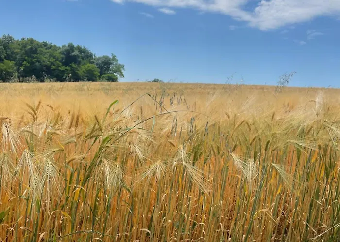 Sonnenschein In Φούλντα