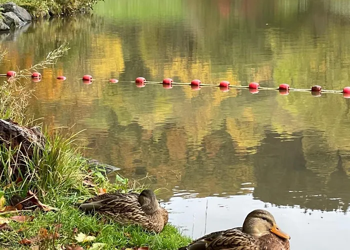Διαμέρισμα Sonnenschein In Φούλντα