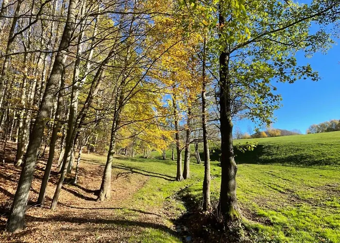 Διαμέρισμα Sonnenschein In