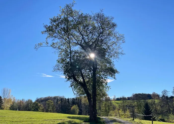 Sonnenschein In