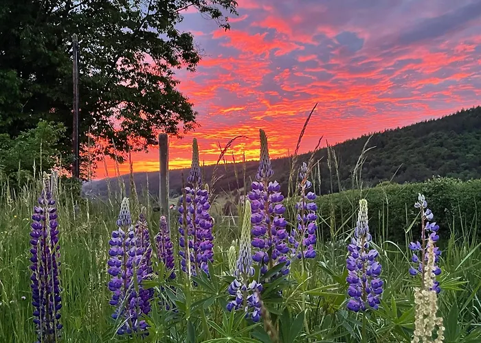 Sonnenschein In Διαμέρισμα